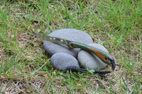 Banzelcroft Customs scalpel MEK, a custom titanium EDC scalpel knife with peacock gcarta handle scales and black liners.